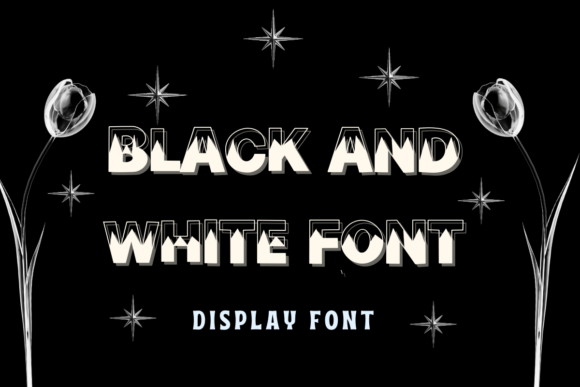 Black and White Font: A Display Typeface for Bold Digital Branding